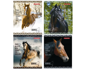 Klade standarta 48 lpp, 165*205mm, rtinu, Horse